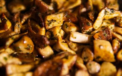 Scaloppine di pollo ai funghi porcini, la ricetta facile e veloce