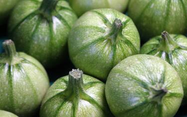 Zucchine tonde ripiene vegetariane, tre ricette semplici e sfiziose