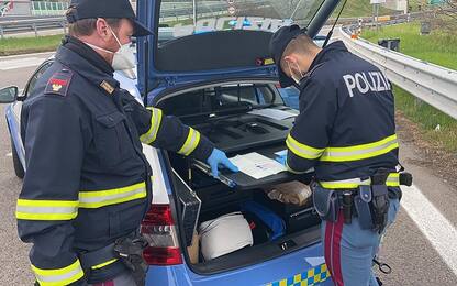 Sardegna, arrestato consigliere comunale con un chilo di coca in auto