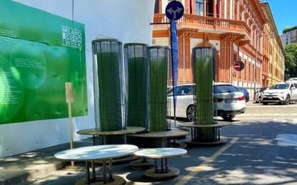 Milano Design Week, premiato il progetto ‘foresta liquida’