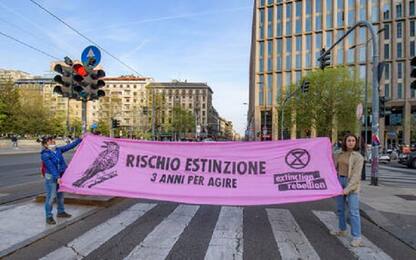 Milano, Stop greenwashin: blitz di Extinction Rebellion alla Rai