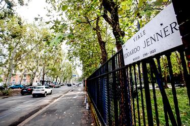 Viale Jenner dove nella notte un ventottene è stato investito da un auto ed è deceduto dopo essere stato trasportato in gravi condizioni all'ospedale Niguarda a Milano, 17 settembre 2023.  ANSA/MOURAD BALTI TOUATI
