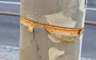 Cavo Acciaio Ad Anello Cavo Acciaio Con Occhielli 2m | Rivestimento In Plastica | Per Bici, Serrature E Rimorchi | 2 Pezzi Neri Cavi Per Bici Serrature