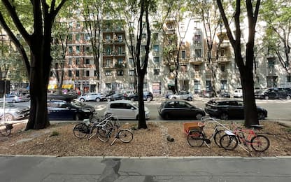 Milano, multa da mille euro a cittadini che riqualificano area verde
