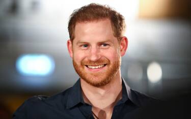 Il principe Harry si trova un lavoro contro le fake news