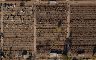 Aerial view of graves already dug at the General Cemetery in Santiago May 14, 2020, amid the new coronavirus pandemic. - Health authorities ordered the General Cemetery of Santiago to enable over 1,700 graves under the possibility of an increase in deaths from COVID-19. (Photo by MARTIN BERNETTI / AFP) (Photo by MARTIN BERNETTI/AFP via Getty Images)
