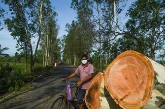 A man pushes his bicycle past an uprooted tree after the landfall of cyclone Amphan in Midnapore, West Bengal, on May 21, 2020. - The strongest cyclone in decades slammed into Bangladesh and eastern India on May 20, sending water surging inland and leaving a trail of destruction as the death toll rose to at least nine. (Photo by Dibyangshu SARKAR / AFP) (Photo by DIBYANGSHU SARKAR/AFP via Getty Images)