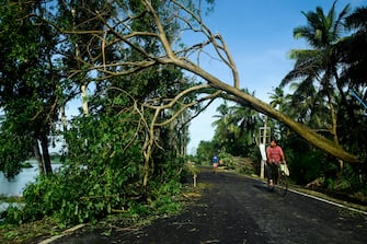 A man rides his bicycle under an uprooted tree after the landfall of cyclone Amphan in Midnapore, West Bengal, on May 21, 2020. - The strongest cyclone in decades slammed into Bangladesh and eastern India on May 20, sending water surging inland and leaving a trail of destruction as the death toll rose to at least nine. (Photo by Dibyangshu SARKAR / AFP) (Photo by DIBYANGSHU SARKAR/AFP via Getty Images)