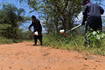 Volunteers from the county government spray pesticide on February 25, 2020 at a hatch site near Isiolo town in Isiolo county, eastern Kenya where locust nymphs have hatched en masse. - Millions of locust nymphs have emerged from eggs left behind by swarms that invaded the region last month and the situation remains extremely alarming in the Horn of Africa, according to the UNs Food and Agriculture Organization (FAO) specifically Kenya, Ethiopia and Somalia where widespread breeding last month is now giving rise to new swarms. (Photo by TONY KARUMBA / AFP) (Photo by TONY KARUMBA/AFP via Getty Images)