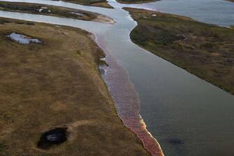 An aerial view shows the pollution in a river outside Norilsk on June 6, 2020. - Russian President Vladimir Putin on June 3, ordered a state of emergency and criticised a subsidiary of metals giant Norilsk Nickel after a massive diesel spill into a Siberian river. The spill of over 20,000 tonnes of diesel fuel took place on May 29, 2020. A fuel reservoir collapsed at a power plant near the city of Norilsk, located above the Arctic Circle, and leaked into a nearby river. (Photo by Irina YARINSKAYA / AFP) (Photo by IRINA YARINSKAYA/AFP via Getty Images)