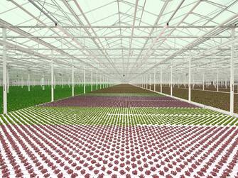 THE FUTURE OF FARMING