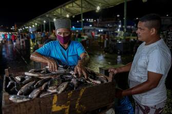 Street sellers of Panair Municipal Market handle fishes to sell on stalls in Manaus, Amazonas state, Brazil, on June 16, 2020, amid the new coronavirus (COVID-19) pandemic. (Photo by MICHAEL DANTAS / AFP) (Photo by MICHAEL DANTAS/AFP via Getty Images)