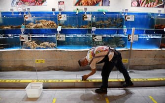 A worker cleans glass in the seafood section of a supermarket in Beijing on June 17, 2020. - The supermarket, which has its own supply chain not linked to the Xinfadi market, has seen a 20 percent increase in online orders since a new outbreak of the COVID-19 coronavirus in Beijing last week. (Photo by GREG BAKER / AFP) (Photo by GREG BAKER/AFP via Getty Images)