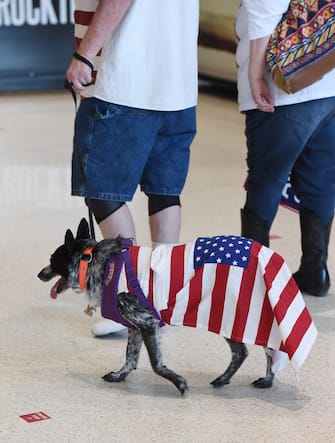 epa08499460 Supporters of US President Donald J. Trump walk a dog clad in an American Flag during a rally inside the Bank of Oklahoma Center in Tulsa, Oklahoma, USA, 20 June 2020. The campaign rally is the first since the COVID-19 pandemic locked most of the country down in March 2020.  EPA/ALBERT HALIM