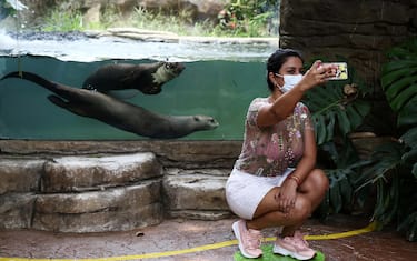 epa08501301 A woman wearing a mask takes a photo with the giant otter pond at the Cali Zoo, Colombia, 21 June 2020. On 21 June and after being closed for more than three months, the Cali Zoo is the first in Latin America to open its doors to the public again in the midst of the COVID-19 pandemic and under the strictest biosecurity measures.  EPA/Pablo Rodriguez