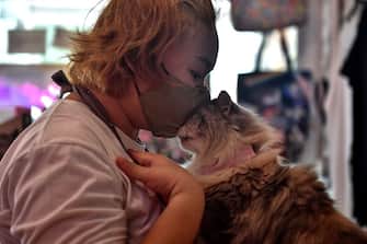 An employee wearing a face mask kisses a cat at the reopened Caturday Cat Cafe, which had been temporarily shuttered due to concerns about the spread of the COVID-19 novel coronavirus, in Bangkok on May 8, 2020. (Photo by Lillian SUWANRUMPHA / AFP) (Photo by LILLIAN SUWANRUMPHA/AFP via Getty Images)