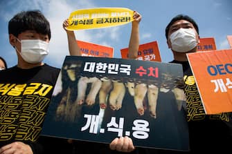 epa08548870 Members of an animal activist group hold placards during a campaign against eating dog meat, near the presidential house in Seoul, South Korea, 16 July 2020. The protesters voiced their objection to eating dog meat and call for the government to enact a law prohibiting dog-meat consumption.  EPA/JEON HEON-KYUN