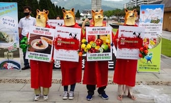 epa08548866 Members of the Vegan in Korea activist group hold placards and shout slogans during a protest against eating dog meat, at Gwanghwamun Square in Seoul, South Korea, 16 July 2020. The protesters voiced their objection to eating dog meat and call for the government to enact a law prohibiting dog-meat consumption.  EPA/JEON HEON-KYUN