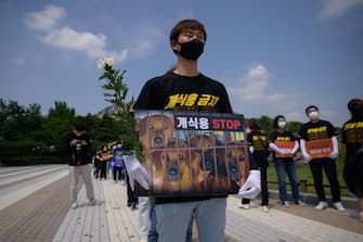 Anti-dog meat protesters hold a rally outside the presidential Blue house on July 16, 2020. - South Korea marks 'Chobok', the first day of what is traditionally known as the hottest period of the year. Typically dog meat dishes are consumed to mark the occasion, although restaurateurs say demand has decreased in recent years. (Photo by Ed JONES / AFP) (Photo by ED JONES/AFP via Getty Images)