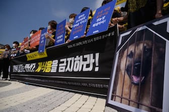 Anti-dog meat protesters hold a rally outside the presidential Blue house on July 16, 2020. - South Korea marks 'Chobok', the first day of what is traditionally known as the hottest period of the year. Typically dog meat dishes are consumed to mark the occasion, although restaurateurs say demand has decreased in recent years. (Photo by Ed JONES / AFP) (Photo by ED JONES/AFP via Getty Images)