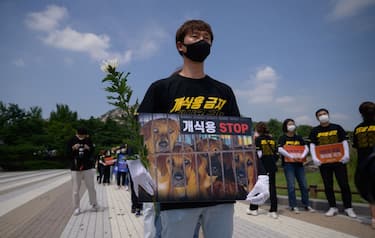 Anti-dog meat protesters hold a rally outside the presidential Blue house on July 16, 2020. - South Korea marks 'Chobok', the first day of what is traditionally known as the hottest period of the year. Typically dog meat dishes are consumed to mark the occasion, although restaurateurs say demand has decreased in recent years. (Photo by Ed JONES / AFP) (Photo by ED JONES/AFP via Getty Images)