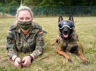 Germania, cani addestrati per fiutare il coronavirus. FOTO