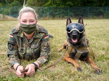 epa08564071 An explosives detection dog poses with his trainer at School for Service Dogs of the Bundeswehr in Ulmen near Koblenz, Germany, 24 July 2020. In the German Bundeswehr Graefin-von-Maltzan barracks in Ulmen, service dogs are being trained as sniffer dogs for the coronavirus Covid-19.  EPA/RONALD WITTEK