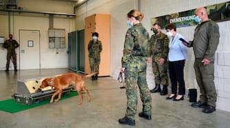 epa08564001 German Minister of Defence Annegret Kramp-Karrenbauer (2-R) watching a dog's training session during her visit to a School for Service Dogs of the Bundeswehr in Ulmen near Koblenz, Germany, 24 July 2020. In the German Bundeswehr Graefin-von-Maltzan barracks in Ulmen, service dogs are being trained as sniffer dogs for the coronavirus Covid-19.  EPA/RONALD WITTEK