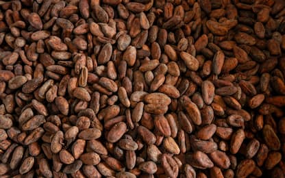 Lindt, guasto alla fabbrica di cioccolato: pioggia di cacao su Olten