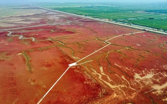 This aeiral photo shows a view of the red beach caused by the red plant of Suaeda salsa in Panjin, in China's northeastern Liaoning province on August 7, 2020. (Photo by STR / AFP) / China OUT (Photo by STR/AFP via Getty Images)