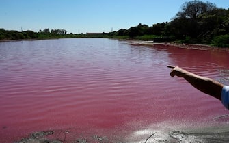 A local points at a tannery (backgroud) located on the banks of the Lago Cerro, which allegedly throws chemical disposals to the lake, causing its water to turn red, in Limpio, 25 km northeast of Asuncion, Paraguay, on August 6, 2020. - According to experts from the National University Multidisciplinary Lab, the colour of the water is due to the presence of heavy metals like iron, chromium, and zinc, among others, commonly used in the tanning process. (Photo by NORBERTO DUARTE / AFP) (Photo by NORBERTO DUARTE/AFP via Getty Images)