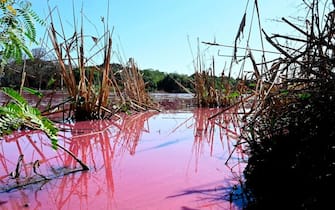 View of the Lago Cerro, coloured by alleged chemical disposals from a tannery located on its banks, in Limpio, 25 km northeast of Asuncion, Paraguay, on August 6, 2020. - According to experts from the National University Multidisciplinary Lab, the colour of the water is due to the presence of heavy metals like iron, chromium, and zinc, among others, commonly used in the tanning process. (Photo by NORBERTO DUARTE / AFP) (Photo by NORBERTO DUARTE/AFP via Getty Images)