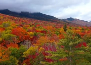 I colori dell'autunno nel New Hampshire ripresi dal drone. VIDEO