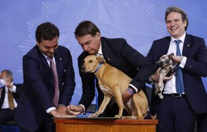 Bolsonaro, il suo cane firma legge sugli abusi contro animali. VIDEO