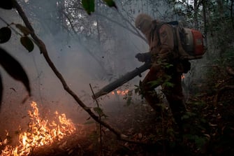 Firefighters from the Mato Grosso State Department work to put out a wild fire in the Porto Jofre region in the wetlands of the Pantanal near the Transpantaneira park road in Mato Grosso state, Brazil, on September 14, 2020. - The Pantanal, a region famous for its wildlife, is suffering its worst fires in more than 47 years, destroying vast areas of vegetation and causing death of animals caught in the fire or smoke. (Photo by MAURO PIMENTEL / AFP) (Photo by MAURO PIMENTEL/AFP via Getty Images)