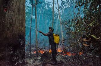 TOPSHOT - A Forest Guardians member fights the fires in a burning area of the forest in Alto Rio Guama, east of Belem, Para, Brazil on September 17, 2020. - An Indigenous group called the Forest Guardians are fighting forest fires encroaching on their land with basic equipment. (Photo by JOAO PAULO GUIMARAES / AFP) (Photo by JOAO PAULO GUIMARAES/AFP via Getty Images)
