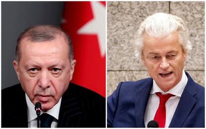 Erdogan querela Wilders che replica via Twitter: "Perdente!"