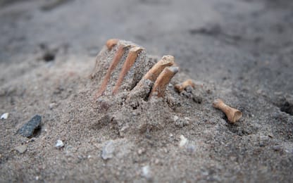 Germania, scoperta mummia di 5.000 anni fa a Bietikow