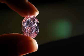 A picture taken on November 6, 2020 in Geneva shows the The Spirit of the Rose a rare 14.83 carats vivid purple pink diamond during a press preview ahead of sales by Sotheby's auction house. - The exceptional ball-sized pink gem, shaped from the largest rough pink diamond ever discovered in Russia, will be offered in Geneva on 11 November by Sotheby's, which estimates it at between 23 and 38 million dollars. (Photo by Fabrice COFFRINI / AFP) (Photo by FABRICE COFFRINI/AFP via Getty Images)