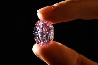 A picture taken on November 6, 2020 in Geneva shows the The Spirit of the Rose a rare 14.83 carats vivid purple pink diamond during a press preview ahead of sales by Sotheby's auction house. - The exceptional ball-sized pink gem, shaped from the largest rough pink diamond ever discovered in Russia, will be offered in Geneva on 11 November by Sotheby's, which estimates it at between 23 and 38 million dollars. (Photo by Fabrice COFFRINI / AFP) (Photo by FABRICE COFFRINI/AFP via Getty Images)