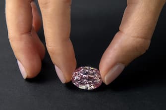 epa08802991 A Sotheby's employee poses with 'The Spirit of the Rose' vivid purple-pink diamond weighing 14.83-carat, during a preview at Sotheby's in Geneva, Switzerland, 06 November 2020. The diamond will be offered for sale at an auction in Geneva on 11 November.  EPA/SALVATORE DI NOLFI