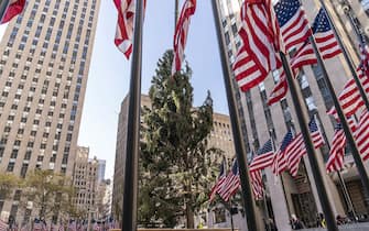New York L Albero Di Natale Del Rockefeller Center Quest Anno Somiglia A Spelacchio