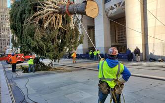 New York, arriva il grande albero di Natale del Rockefeller Center New York, NY - Workers prepare the tree to be lifted into place as some of the family members watch the process. The whole family will be at the official tree lighting ceremony in December.
Pictured: Rockefeller Center Christmas Tree
BACKGRID USA 14 NOVEMBER 2020
USA: +1 310 798 9111 / usasales@backgrid.com
UK: +44 208 344 2007 / uksales@backgrid.com
*UK Clients - Pictures Containing Children
Please Pixelate Face Prior To Publication* (New York - 2020-11-14, ZUPR / IPA) p.s. la foto e' utilizzabile nel rispetto del contesto in cui e' stata scattata, e senza intento diffamatorio del decoro delle persone rappresentate