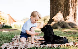 epa05436265 An undated handout photo released by the Duke and Duchess of Cambridge of Prince George who celebrates his third birthday on 22 July 2016, sitting on a picnik blanquet while offering an ice cream to family dog Lupo. The picture was taken at the family's Norfolk home in mid-July by Matt Porteous.  EPA/MATT PORTEOUS / PRESS ASSOCIATION UK, IRELAND OUT; EDITORIAL USE ONLY TO REPORT EVENT MENTIONED IN THE CAPTION. Reuse of the picture may require further permission from the copyright holder. HANDOUT EDITORIAL USE ONLY/NO SALES