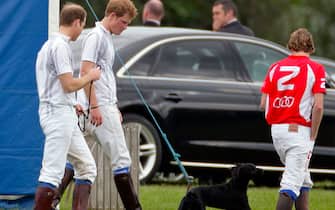ASCOT, UNITED KINGDOM - MAY 13: (EMBARGOED FOR PUBLICATION IN UK NEWSPAPERS UNTIL 48 HOURS AFTER CREATE DATE AND TIME) Prince William, Duke of Cambridge and Prince Harry walk with Prince William's and Catherine, Duchess of Cambridge's dog Lupo after playing in the Audi Polo Challenge charity polo match at Coworth Park Polo Club on May 13, 2012 in Ascot, England. (Photo by Indigo/Getty Images)