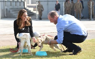 ISLA, PAKISTAN - OCTOBER 18:  (UK OUT FOR 28 DAYS) Catherine, Duchess of Cambridge visits an Army Canine Centre with Prince William, Duke of Cambridge, where the UK provides support to a programme that trains dogs to identify explosive devices, during day five of their royal tour of Pakistan on October 18, 2019 in Islamabad, Pakistan.  (Photo by Pool/Samir Hussein/WireImage)