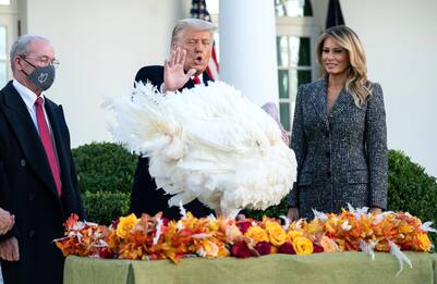 Thanksgiving 2020, i tacchini Corn e Cob graziati da Trump