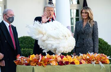 epa08839898 US President Donald J. Trump, joined by First Lady Melania Trump (R) and Ron Kardel (L), National Turkey Federation Chairman, pardons Corn, the National Thanksgiving Turkey, during a ceremony in the Rose Garden at the White House, in Washington, DC, USA, 24 November 2020. EPA/KEVIN DIETSCH / POOL