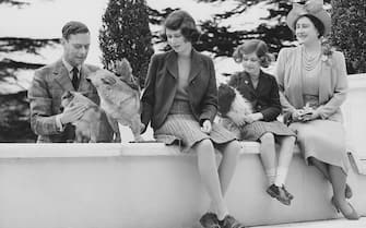 600115809 April 1940: The Royal family at the Royal Lodge in Windsor. (From right to left) Queen Elizabeth (1900 - 2002), Princess Margaret (1930 - 2002), Princess Elizabeth and King George VI (1895 - 1952) with the family dogs Ching, Carol and Crackers. (Photo by Lisa Sheridan/Studio Lisa/Getty Images)