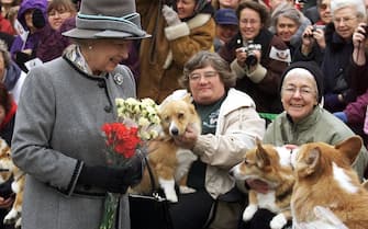 51418716 WINNIPEG, CANADA: Queen Elizabeth II talks with members of the Manitoba Corgi Association during a visit to Winnipeg 08 October 2002. The queen, making her 20th trip to Canada, is the last stop on the year-long jubilee tour celebrating her 50-year reign. AFP PHOTO/POOL/Adrian WYLD (Photo credit should read ADRIAN WYLD/AFP via Getty Images)